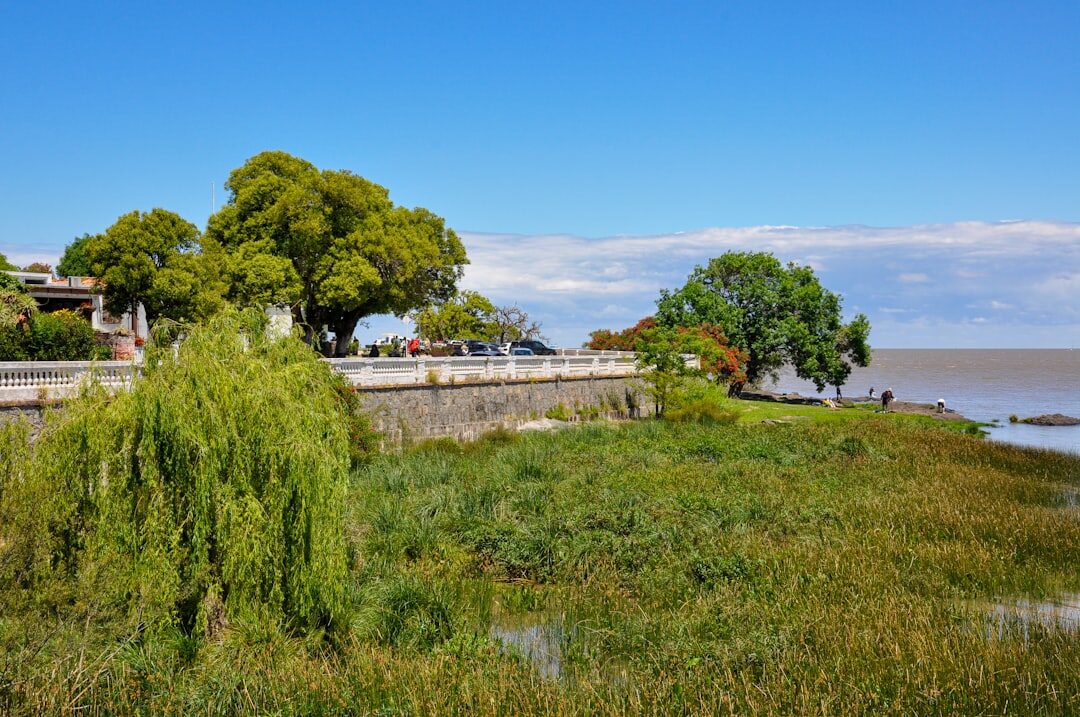uruguay river landscape with indigenous elements
