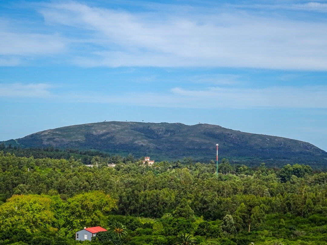 uruguay countryside landscape