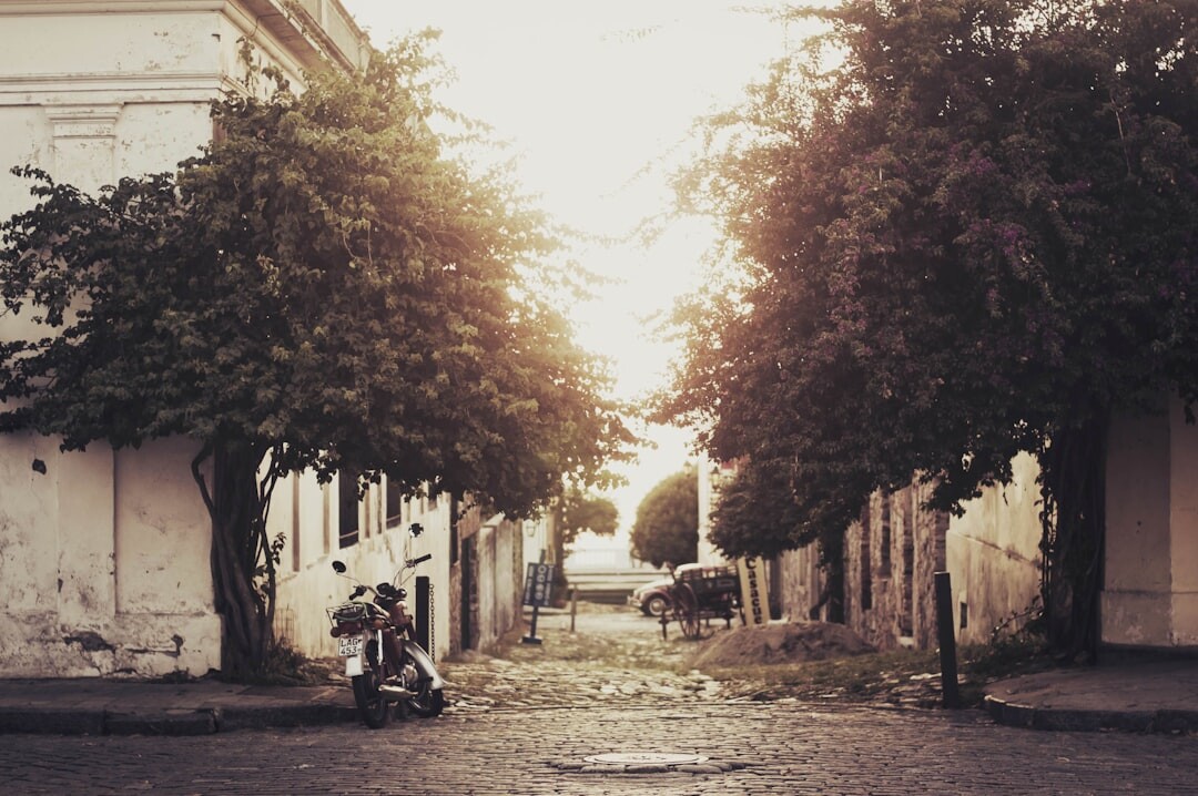 Historic cobblestone street in Colonia del Sacramento, Uruguay at sunset